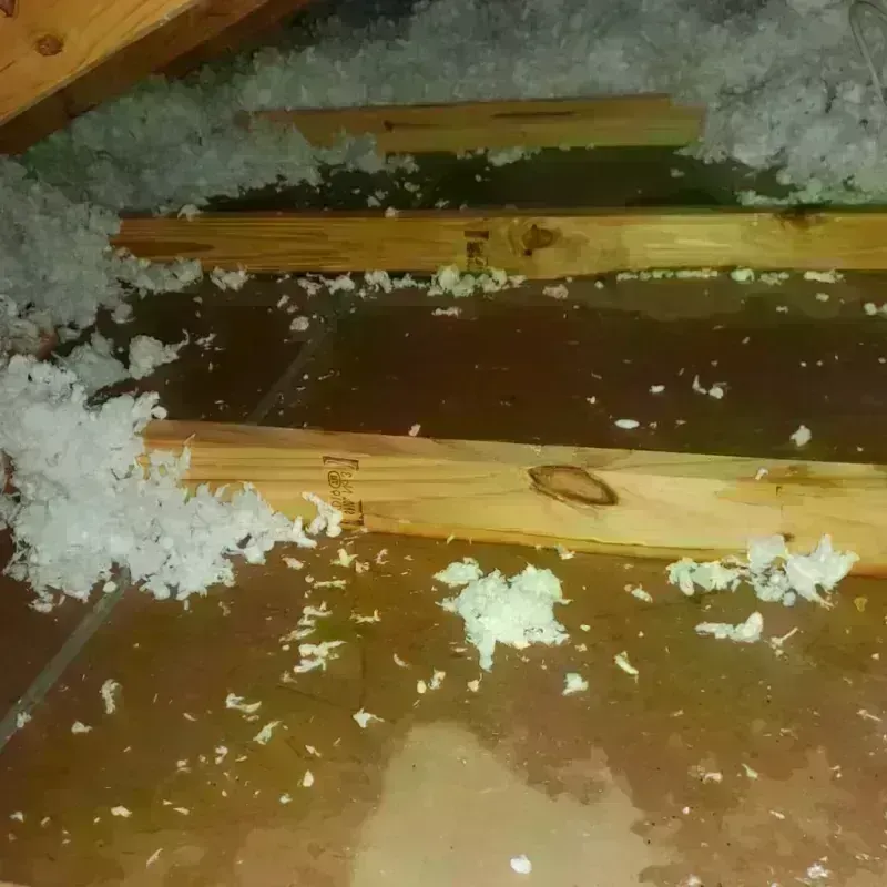 Attic Water Damage in Rotterdam, NY